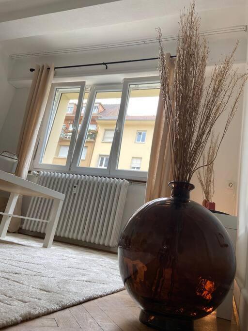 Апартаменти Charismatique Orangerie-10Min Parlement Eu-Wifi-Tv Страсбург Екстер'єр фото